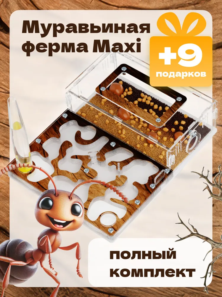 Муравьиная ферма Maxi. Корм и Декор Корм в комплекте/Формикарий для муравьев, вариант