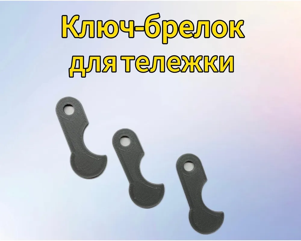 Ключ для тележки в супермаркете.Ключ-брелок заменяющий 10 рублевую монету,2 шт Черный, 3 шт