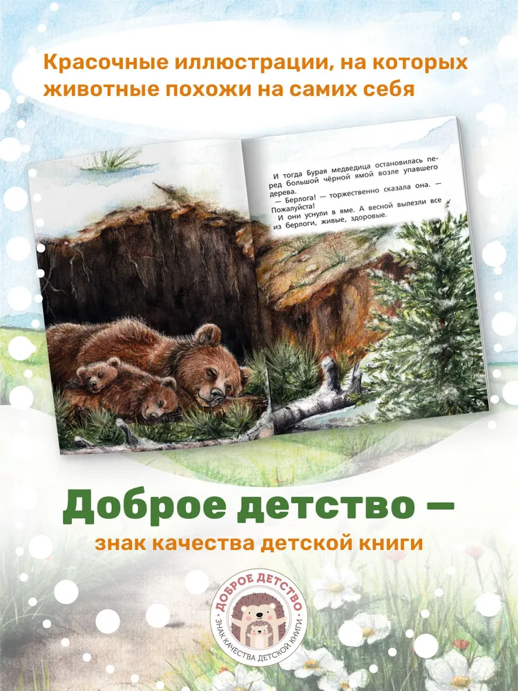 Медвежонок Бурик | Александрова Татьяна Ивановна, вариант, фото 4