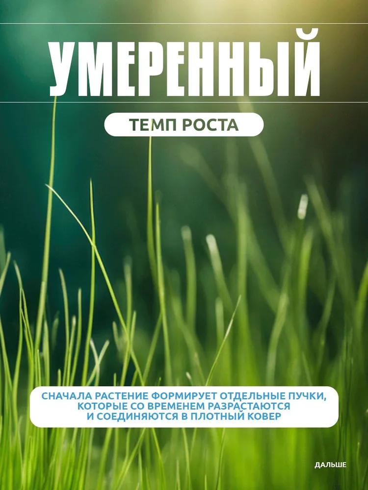 Семена растений для аквариума ("Элеохарис Парвула макси"), 10 г, 10 г, фото 6