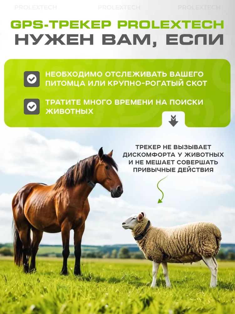 GPS трекер с ошейником для животных крс, собак, лошадей, коров (андроид, эпл) 3000mAh, ошейник с gps, 3000 мАч, фото 2