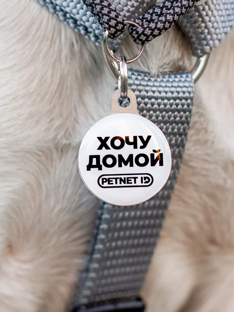 Адресник для собак и кошек PETNET ID с QR кодом, брелок на ошейник, вариант, фото 2