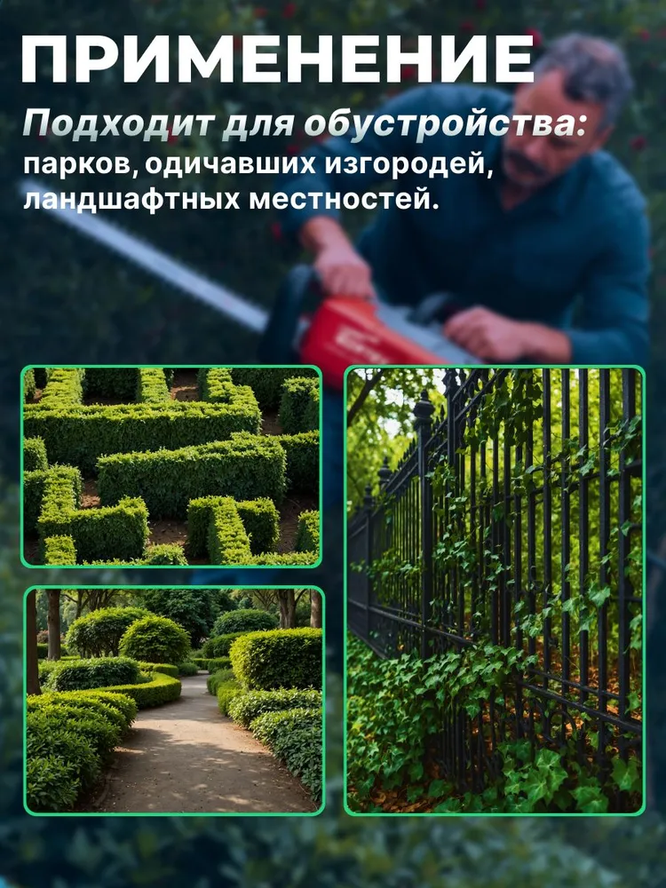 Кусторез электрический садовый WORTEX ST 6165-1, 700 Вт (1334654), 700 Вт, фото 5