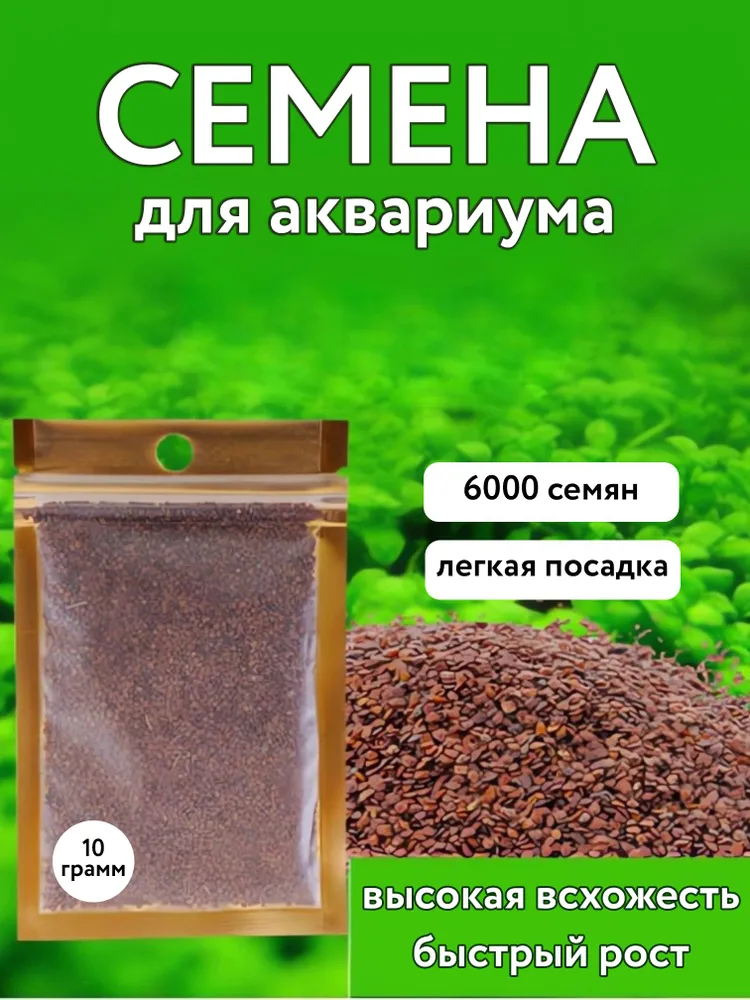 Семена растений для аквариума / живые растения для аквариума, вариант