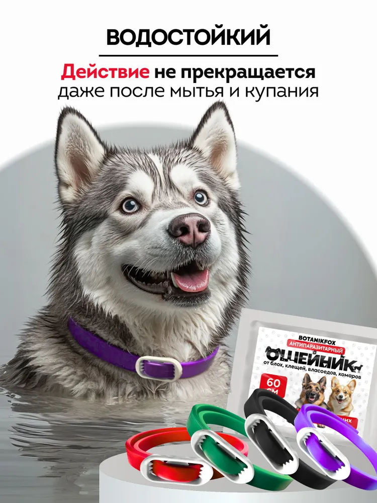 Ошейник от блох и клещей для собак средних и крупных пород, 60 см. БОТАНИКФОКС репелленты от комаров и клещей, вариант, фото 3