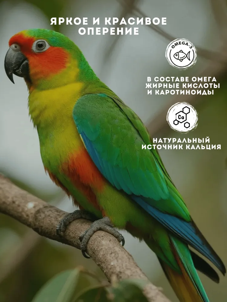 Корм для средних попугаев "Сильвер" ЗООМИР, 500 г, 500 г, фото 5