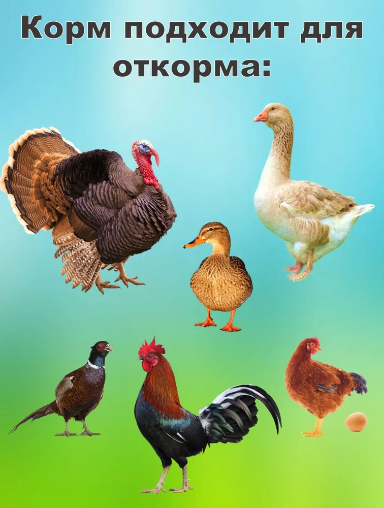 Зерновая смесь "Элита" для сельскохозяйственной птицы с витаминной гранулой, 10 кг, 20 кг, фото 2