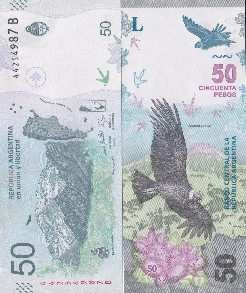 Набор 2 банкноты Аргентина 20 и 50 песо 2017-2018гг., UNC, вариант, фото 3
