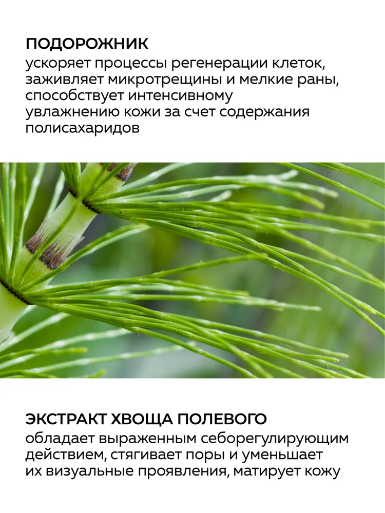 GREEN MAMA Глиняная маска для лица подорожник и полевой хвощ очищающая 170 мл, 170 мл, фото 4