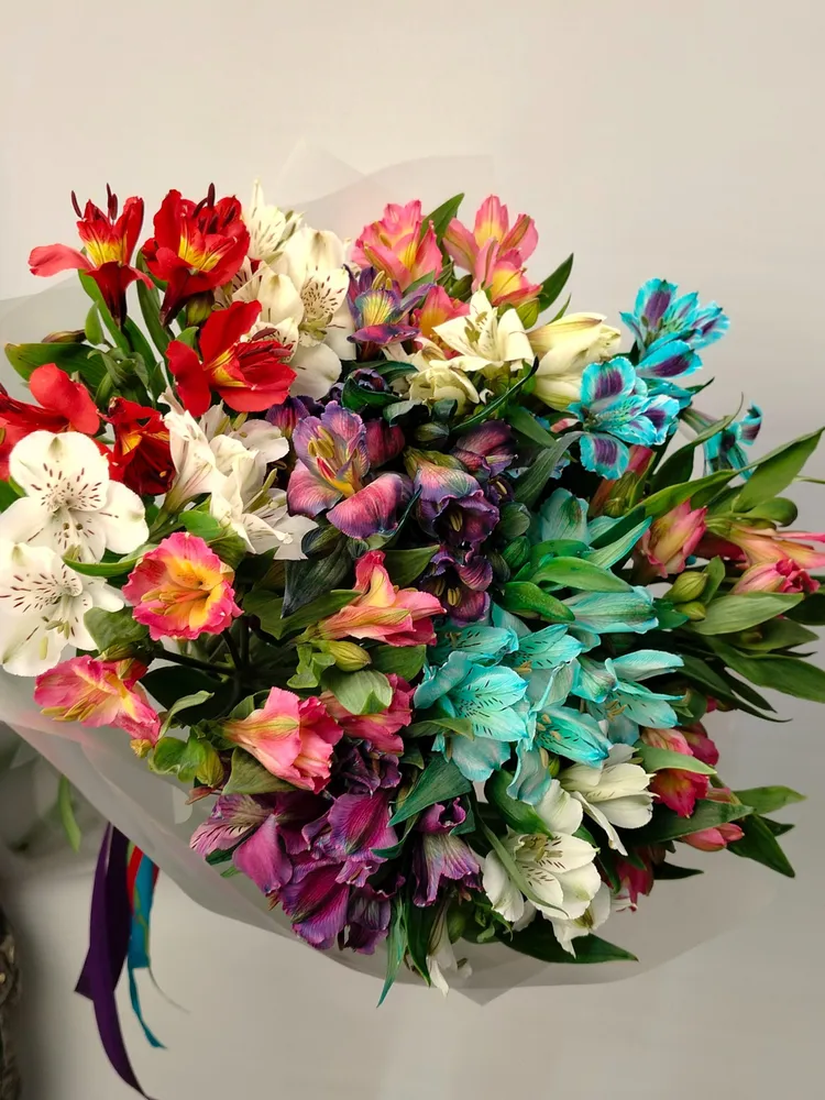 Decoriflora Альстромерия, цвет красный, голубой,  15 шт, 15 шт, фото 3