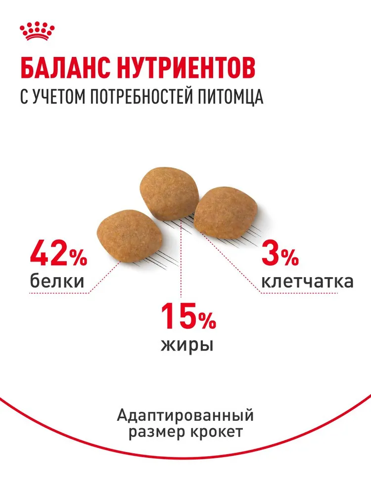 Сухой корм для кошек Royal Canin Protein Exigent для привередливых, 400 г, 400 г, фото 4