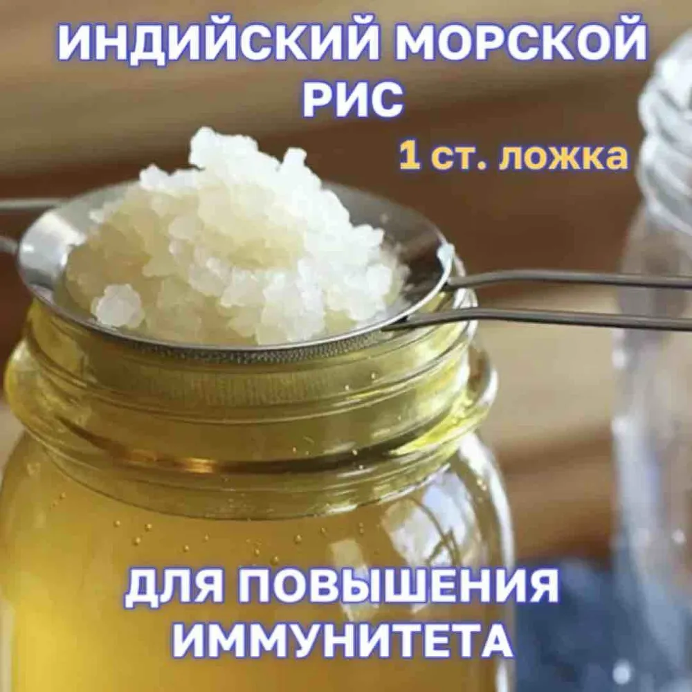Индийский морской рисовый гриб для кваса зооглея, вариант