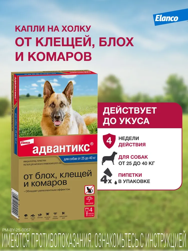 Адвантикс®  для собак от 25 до 40 кг для защиты от блох, иксодовых клещей и летающих насекомых и переносимых ими заболеваний. 4 пипетки в упаковке., 40 кг