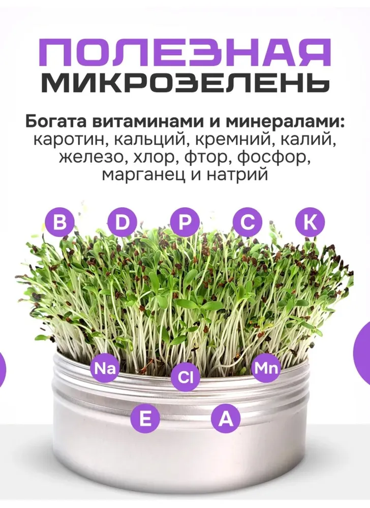 Люцерна сидерат семена для проращивания, 250 гр., 250 г, фото 3