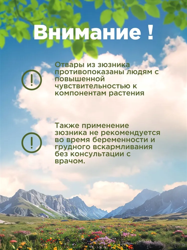 Зюзник европейский (Горная Адыгея) (100 гр) - Родные Травы, 100 г, фото 5