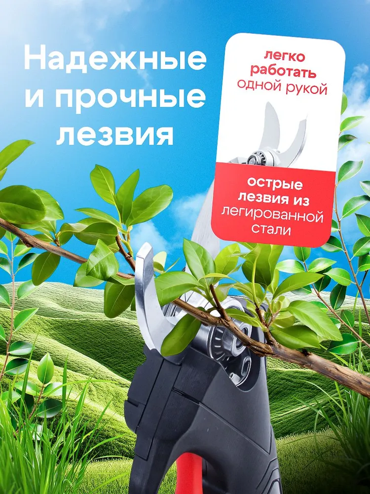 Секатор аккумуляторный,садовый сучкорез, бесщеточный с 2 аккумуляторами 48V, вариант, фото 2