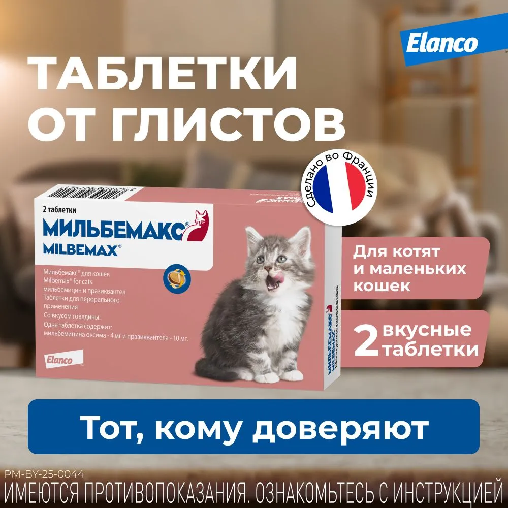 Мильбемакс от гельминтов для кошек и котят, 2 табл. 4/10 мг, вариант