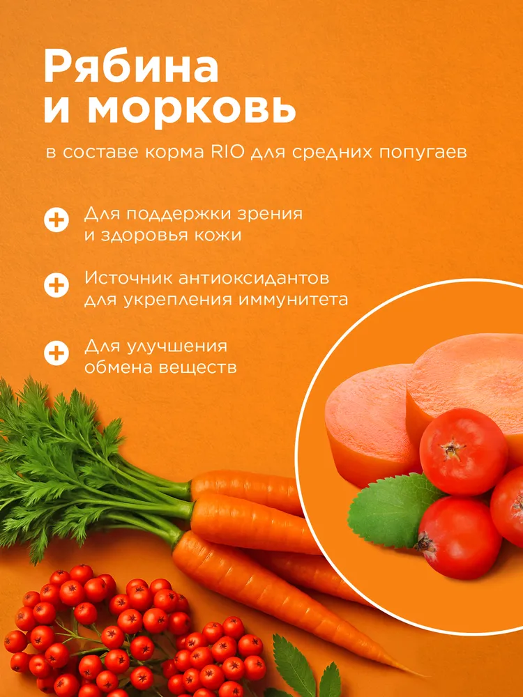 RIO Корм для средних попугаев. Основной рацион, 1 кг, 1 кг, фото 5