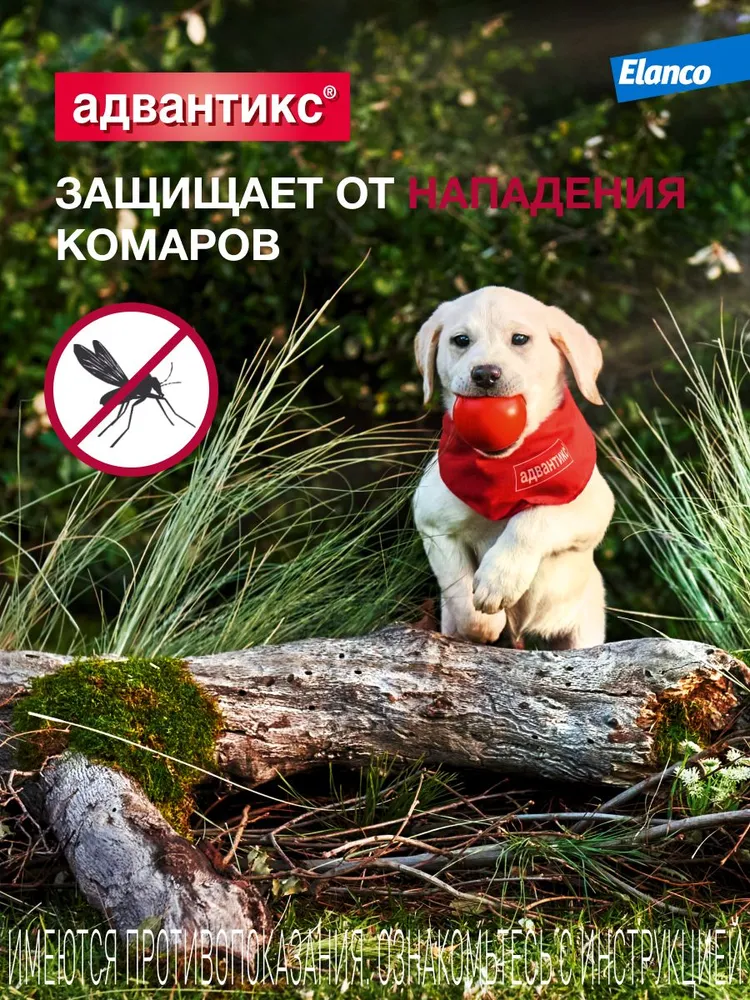 Адвантикс®  для собак от 25 до 40 кг для защиты от блох, иксодовых клещей и летающих насекомых и переносимых ими заболеваний. 1 пипетка в упаковке., 40 кг, фото 5