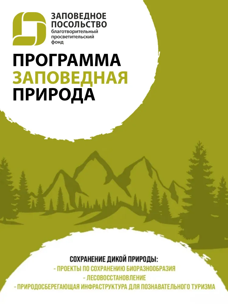 Благотворительный сертификат фонда "Заповедное Посольство", вариант, фото 2