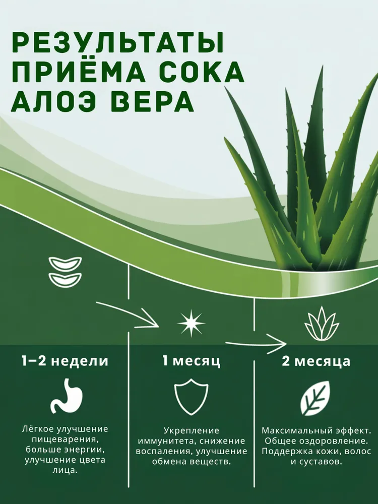 Алоэ вера 99%, натуральный питьевой сок 500 мл (срок годности до 05.2028), (Индия), 500 мл, фото 6