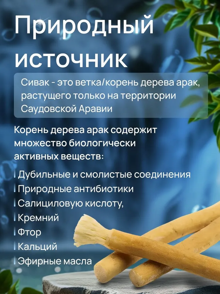 Сивак для зубов Мисвак натуральная зубная щетка, вариант, фото 5