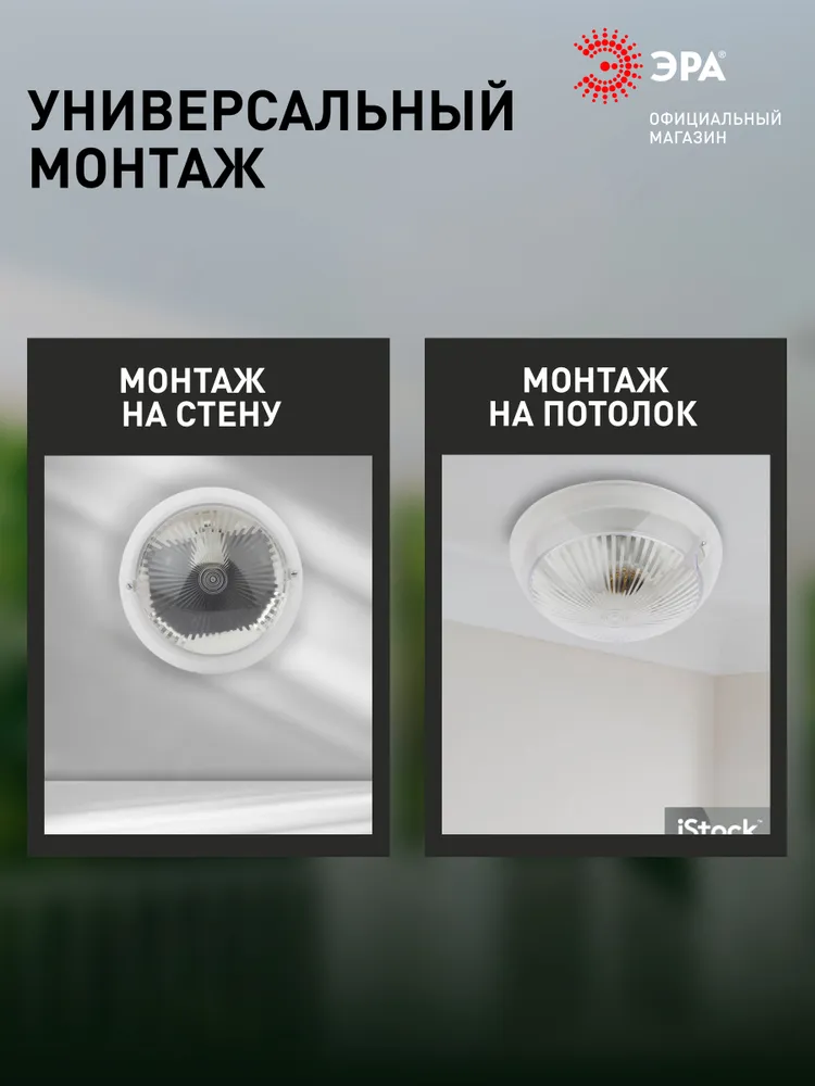 Светильник потолочный ЖКХ уличный настенный влагозащищённый ЭРА НБП 06-60-001 Сириус E27 / Е27 IP54, 60Вт, D220 мм, 60 Вт, фото 3