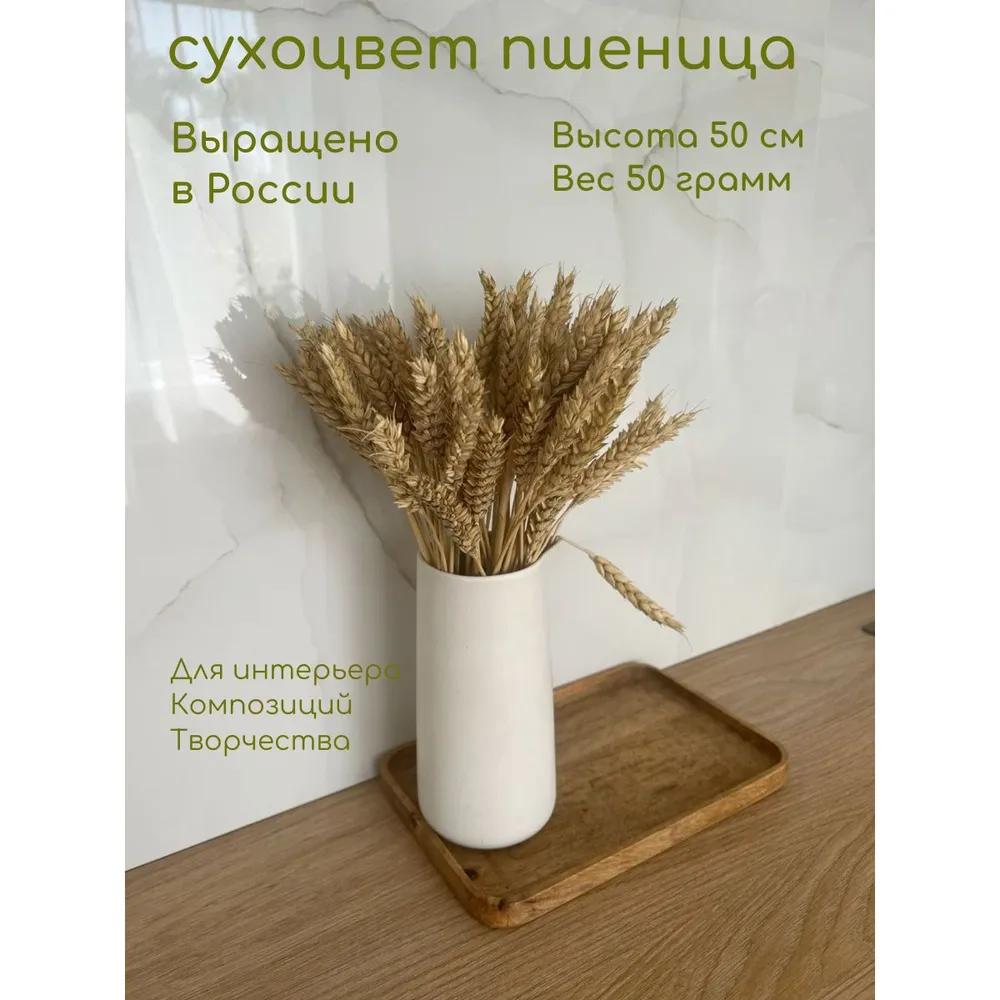 Элитупак Сухоцветы Пшеница 50 см светло-коричневый, коричневый, фото 2