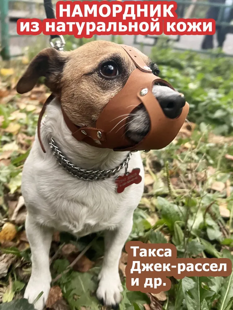 Намордник для собак мелких пород, вариант