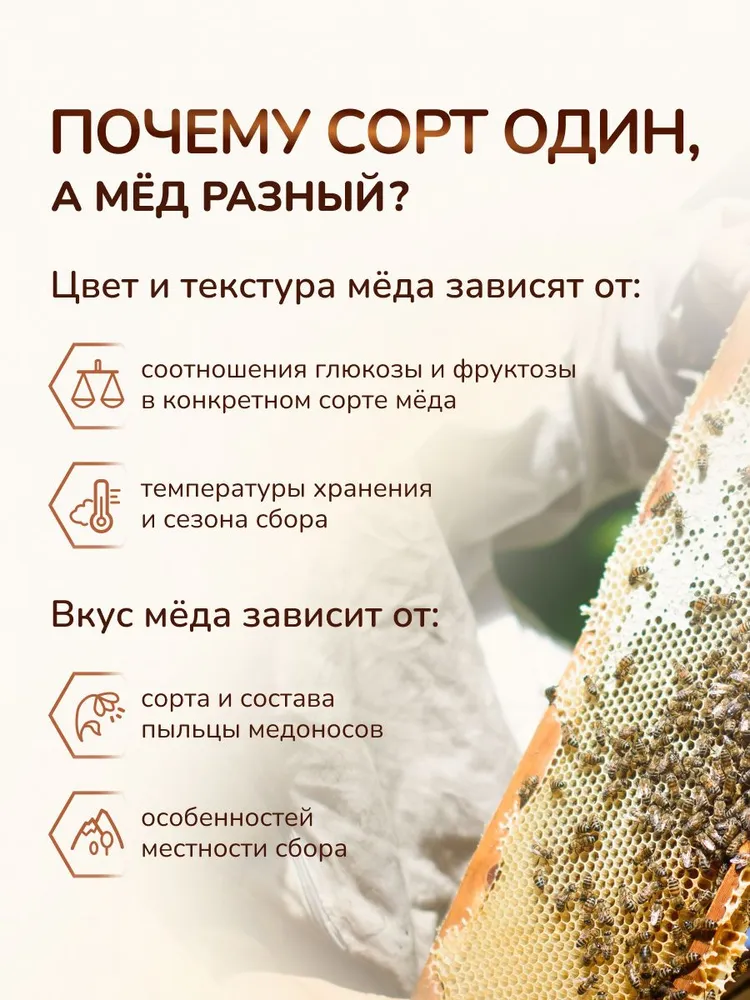 Мед натуральный полевой с гречихой 1,5 кг свежий урожай 2026 г, 1,5 кг, фото 4