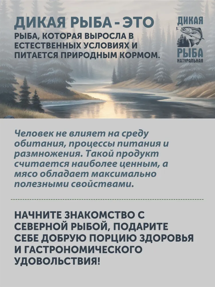 Уха из щуки ТАЁЖНЫЙ ЦЕХ 340 г, 340 г, фото 4