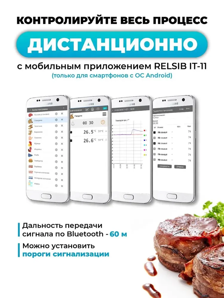 Кулинарный термометр-термощуп с 2 щупами, Bluetooth, таймер, для мяса, духовки и гриля IT-11 Relsib, вариант, фото 3