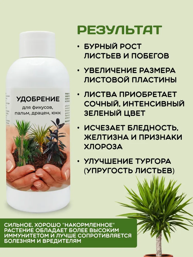 Удобрение для комнатных растений фикуса, пальм, цикаса, драцены, юкки LOMONOSOFF 150 мл, 150 мл, фото 3