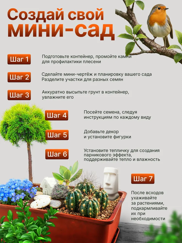 Набор для выращивания Мини садик с кактусом, суккулентами, незабудка, вариант, фото 4