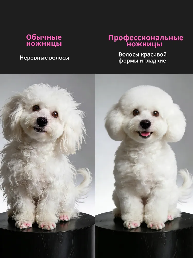 Ножницы для груминга собак и кошек, 5 в 1 набор изогнутых ножниц для стрижки собак, вариант, фото 6