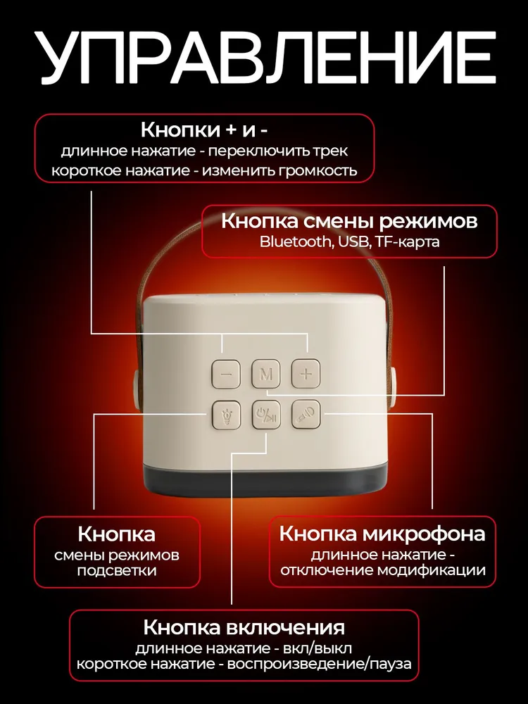 Детская караоке система с двумя беспроводными микрофонами и колонкой, вариант, фото 3