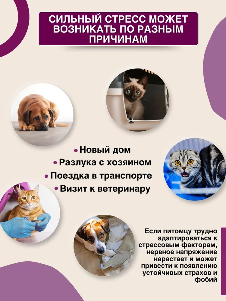 Успокоительное для кошек и собак Таблетки Relaxivet 10 шт, 10 шт, фото 2
