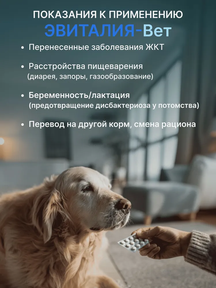 Эвиталия - Вет, 30 таблеток (кормовая добавка для нормализации микрофлоры кишечника животных, кошек и собак), вариант, фото 3