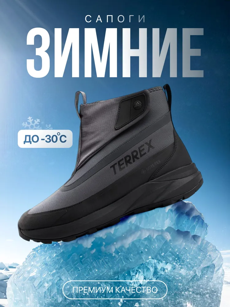 Сапоги мужские зимние Terrex, вариант