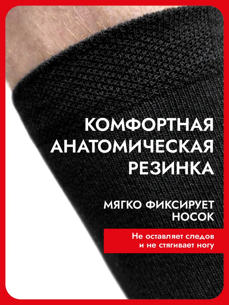 Носки Челны Текстиль мужские хлопок 90%, набор, 10 пар, вариант, фото 4