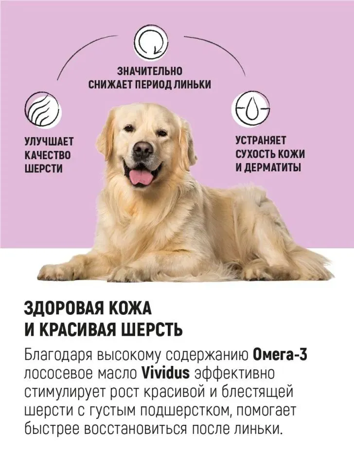 Vividus Масло дикого камчатского лосося для домашних животных, 100мл, 100 мл, фото 5