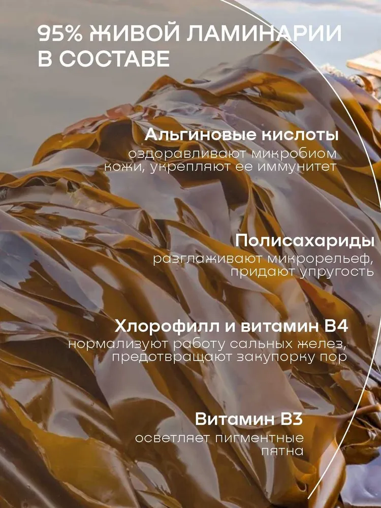 Универсальный гель из ламинарии SNOW SEA Biogel, 500 мл., 500 мл, фото 4