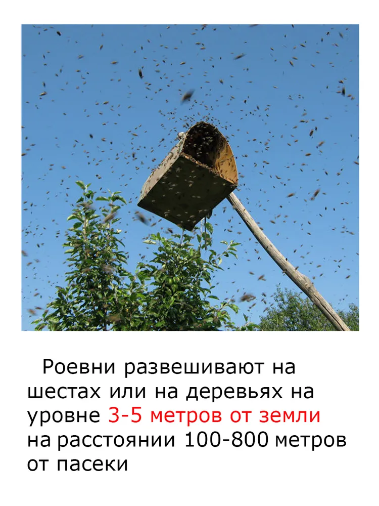 2 упаковки Апирой средство для привлечения и поимки роёв / приманка для ловли роёв / для подсадки маток и объединения пчелосемей 25 гр., 25 г, фото 6