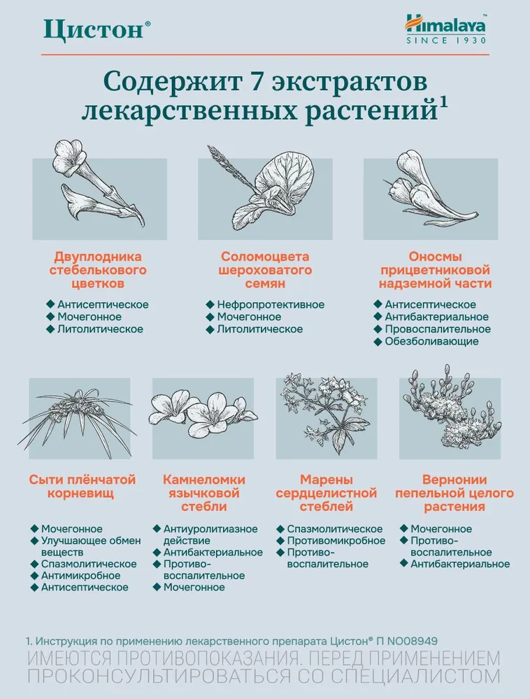 Цистон – фитопрепарат для комплексного лечения цистита и инфекций мочевыводящих путей, 100 шт., 100 шт, фото 3