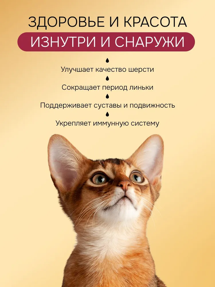 Лососевое масло для кошек и собак Spets, Омега-3 для здоровья кожи, блеска шерсти, уменьшения линьки и поддержки суставов, рыбий жир, натуральная добавка в корм, 100 мл, 100 мл, фото 3