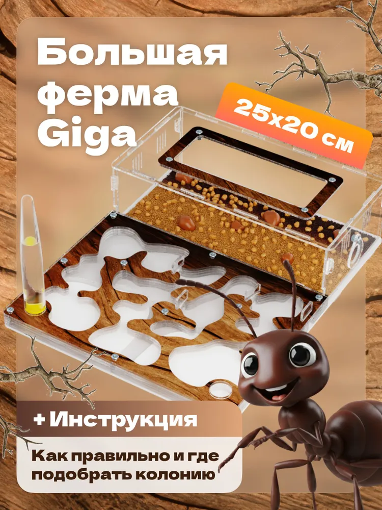 Большая муравьиная ферма GIGA. Корм и Декор Корм в комплекте/Формикарий для муравьев, вариант