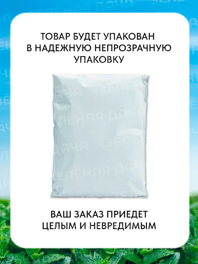 семена Мята Ментол, вариант, фото 4