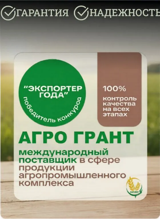Горчица белая 1 кг семена пищевые натуральные, сидерат, для еды, для консервирования, 1 кг, фото 3
