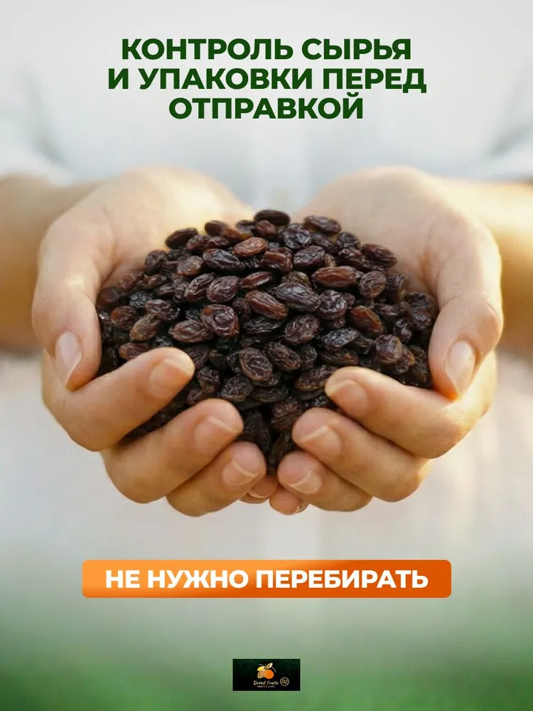 Изюм без косточек черный 500 гр, 500 г, фото 3