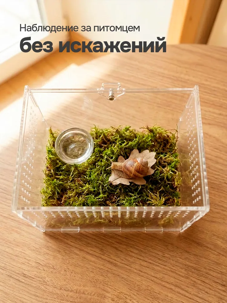 Акриловый террариум для растений, насекомых 20х12х12 см, 20x12x12 см, фото 6